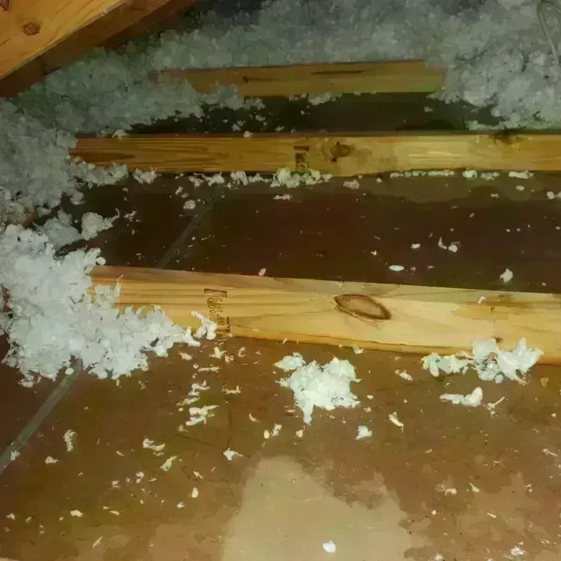 Attic Water Damage in Eureka, CA