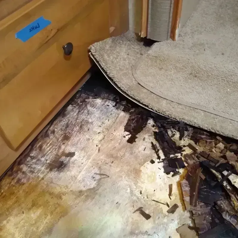 Wood Floor Water Damage in Eureka, CA